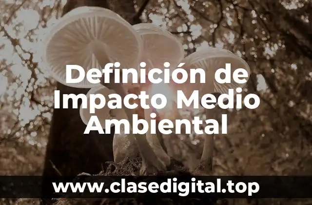 Definición de Impacto Medio Ambiental