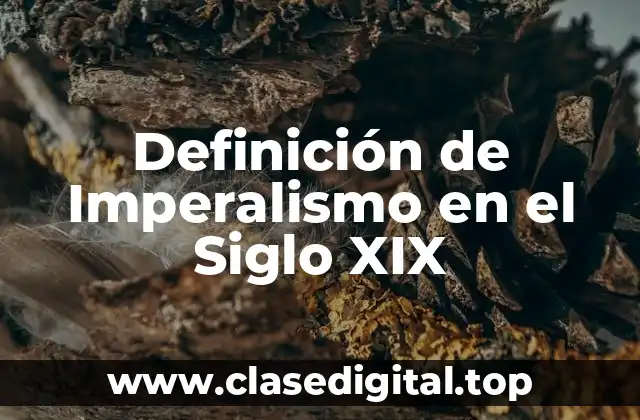 Definición de Imperalismo en el Siglo XIX