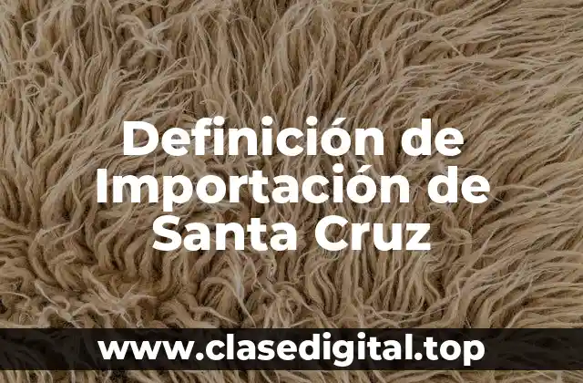 Definición de Importación de Santa Cruz