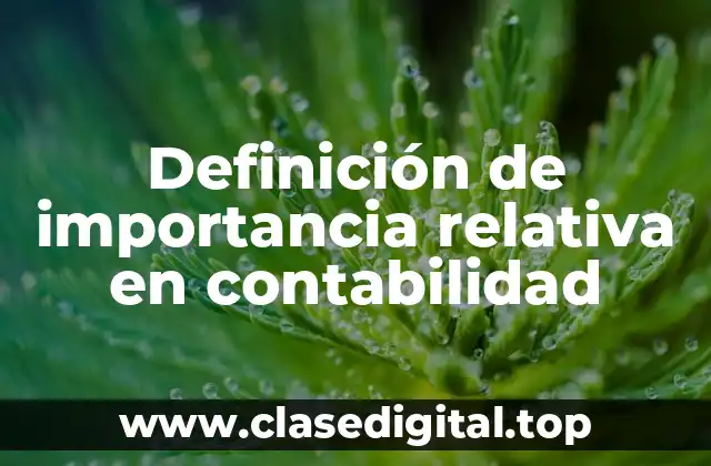 Definición técnica de importancia relativa