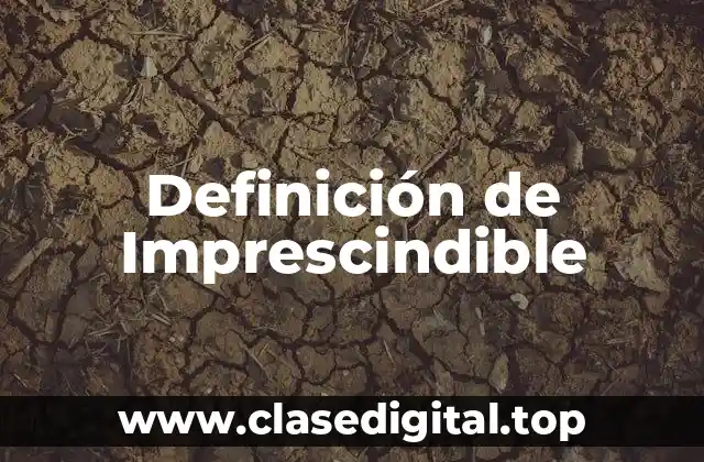 Definición de Imprescindible