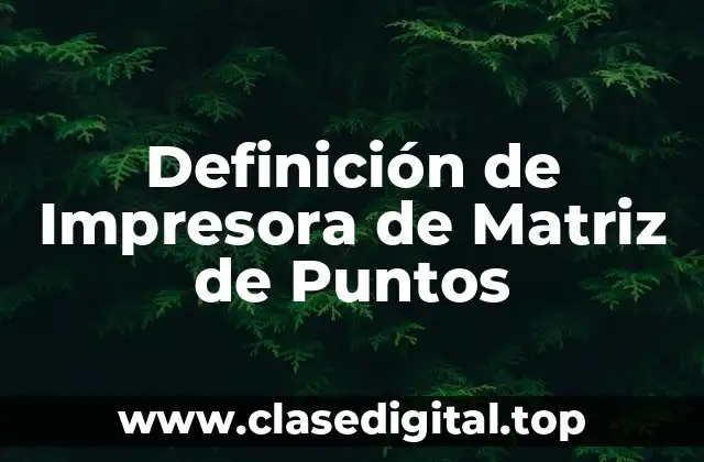 Definición de Impresora de Matriz de Puntos