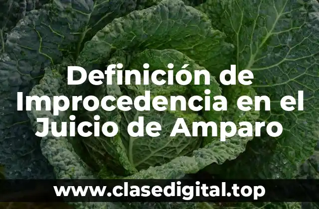 Definición de Improcedencia en el Juicio de Amparo