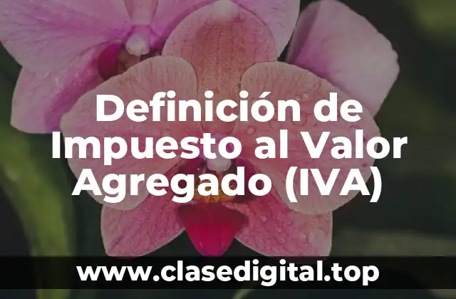 Definición de Impuesto al Valor Agregado (IVA)