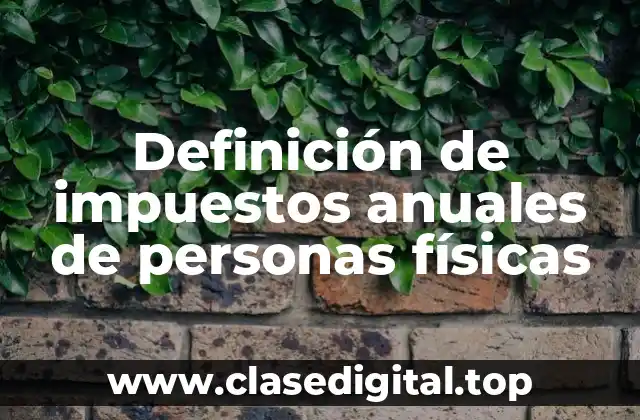 Definición de impuestos anuales de personas físicas