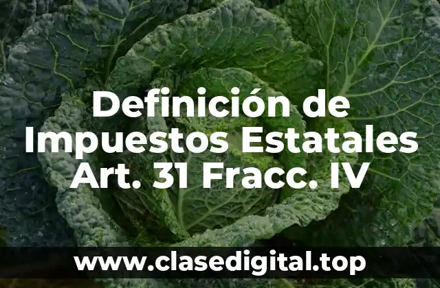 Definición técnica de impuestos estatales