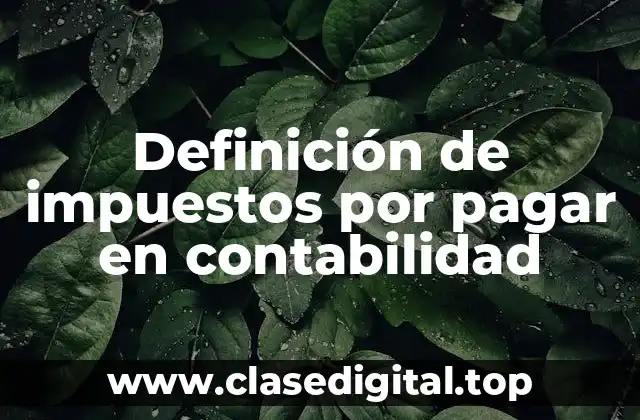 Definición de impuestos por pagar en contabilidad