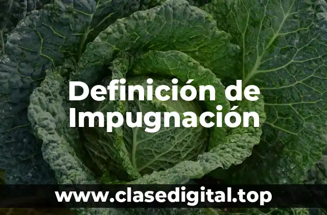 Definición de Impugnación