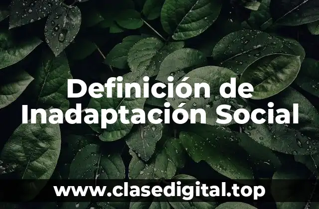 Definición de Inadaptación Social