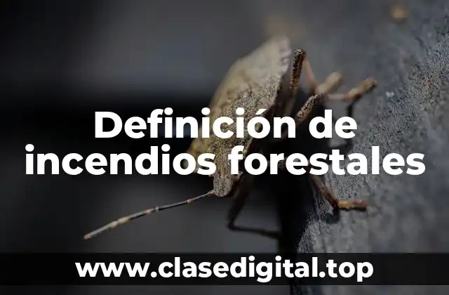Definición de incendios forestales