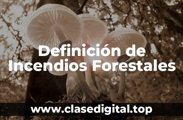 Definición de Incendios Forestales