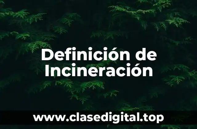 Definición de Incineración