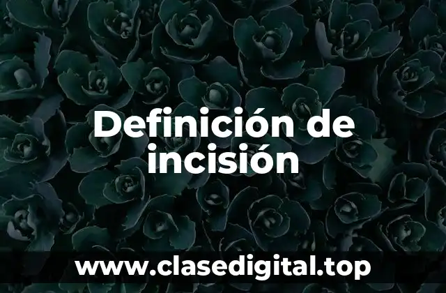 Definición técnica de incisión