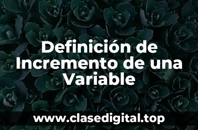 Definición de Incremento de una Variable