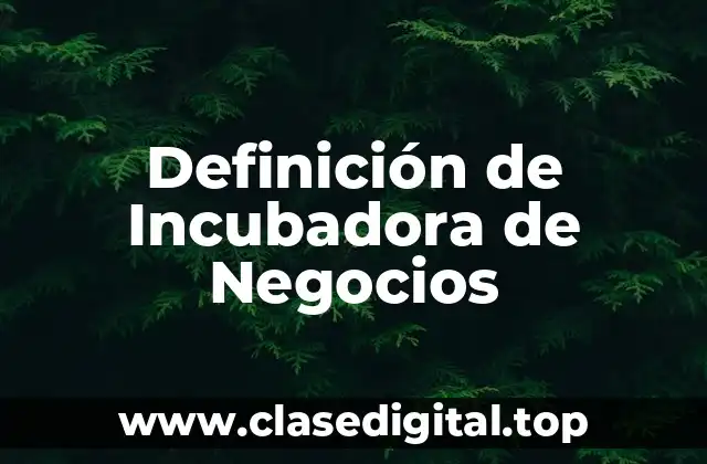 Definición de Incubadora de Negocios