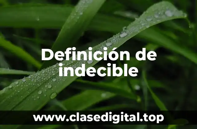 Ejemplos de indecible