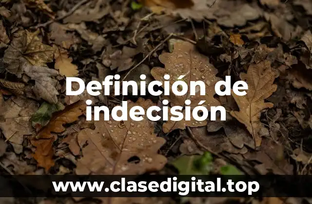 Definición de indecisión