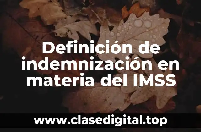 Definición de indemnización en materia del IMSS