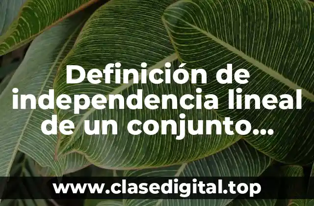 Definición de independencia lineal de un conjunto ortogonal