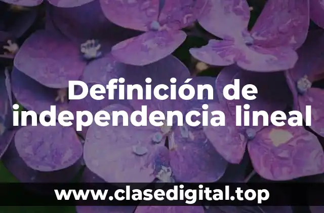 Definición técnica de independencia lineal