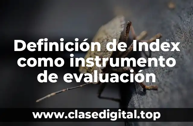 Definición de Index como instrumento de evaluación