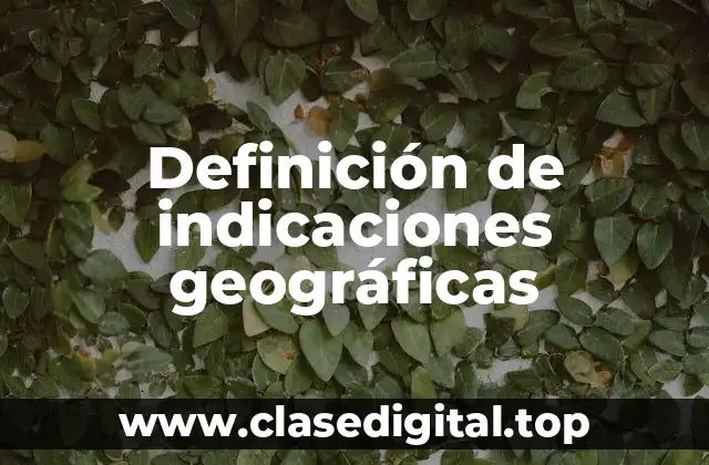 Definición de indicaciones geográficas