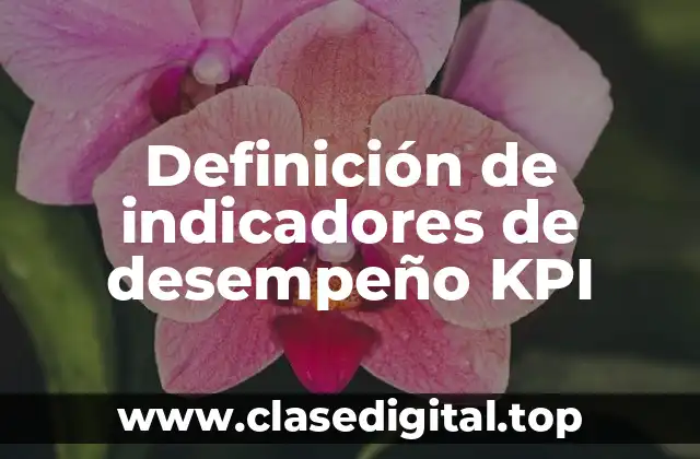 Definición de indicadores de desempeño KPI