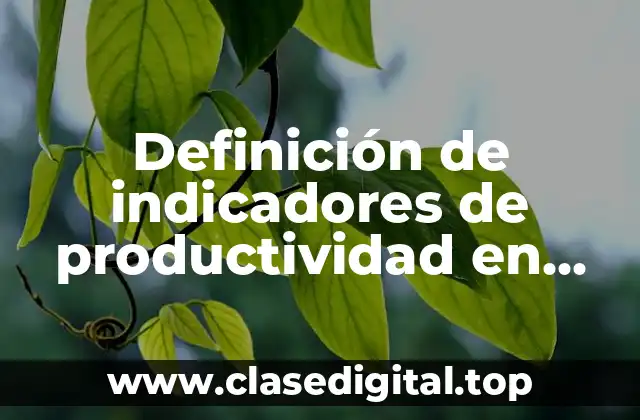 Definición de indicadores de productividad en salud