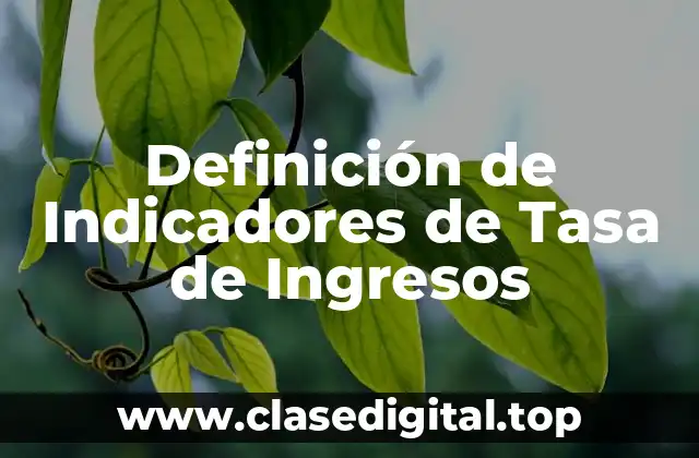 Definición de Indicadores de Tasa de Ingresos