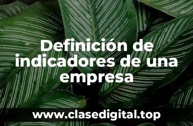 Definición de indicadores de una empresa