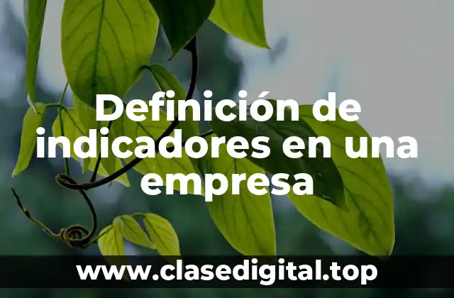 Definición de indicadores en una empresa