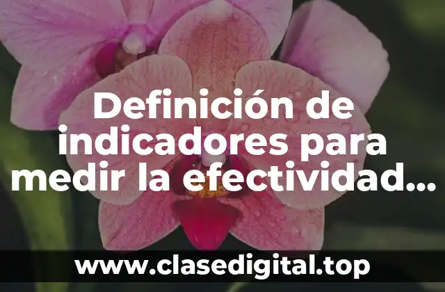Definición de indicadores para medir la efectividad de la producción