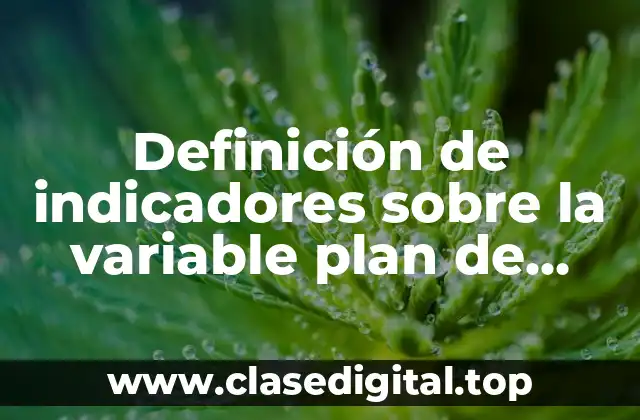 Definición de indicadores sobre la variable plan de negocios