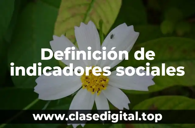 Definición técnica de indicador social