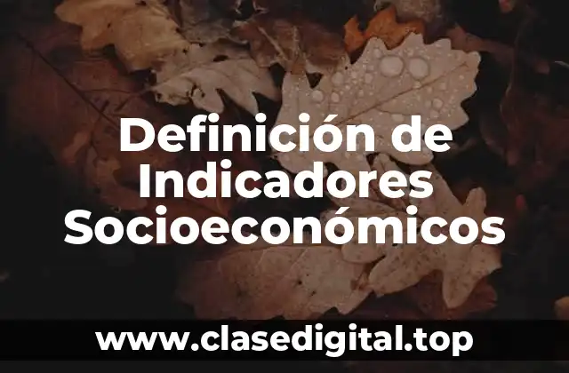 Definición técnica de Indicadores Socioeconómicos