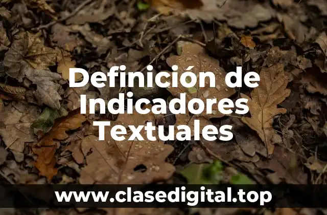 Definición técnica de Indicadores Textuales