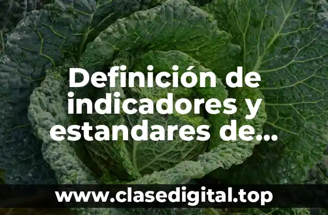 Definición de indicadores y estandares de gestión de mercadeo