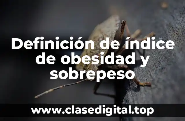 Definición de índice de obesidad y sobrepeso