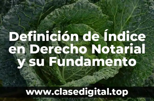 Definición de Índice en Derecho Notarial y su Fundamento