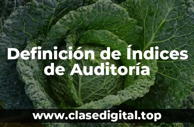 Definición de Índices de Auditoría