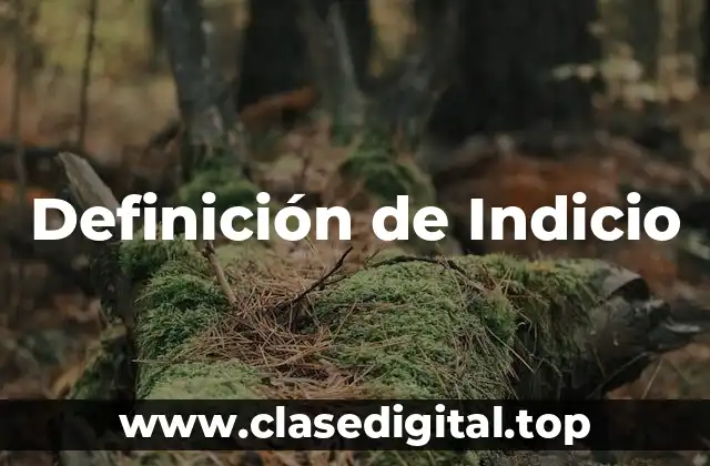 Definición Técnica de Indicio