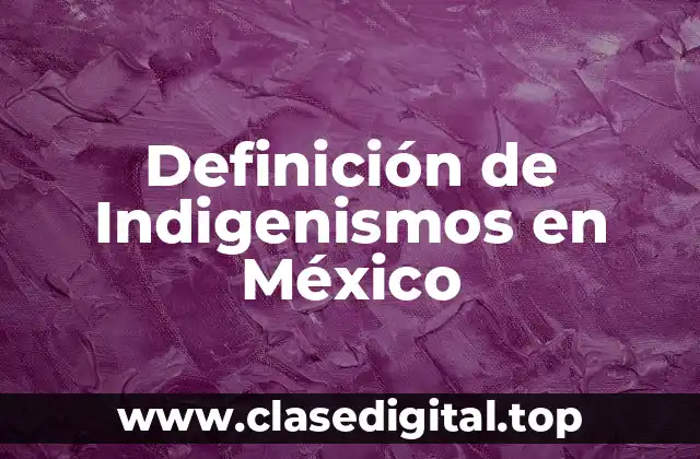 Definición de Indigenismos en México