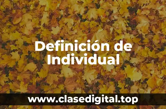 Definición de Individual