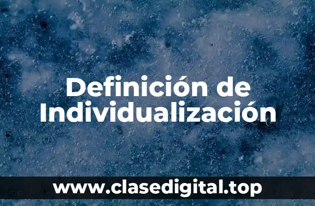 Definición de Individualización