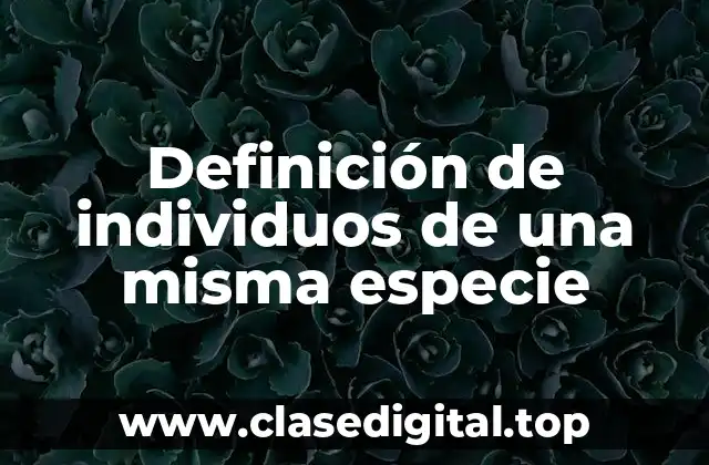 Definición de individuos de una misma especie