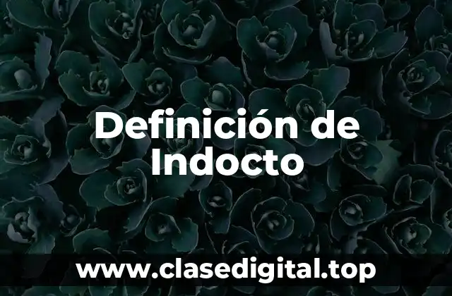 Definición técnica de Indocto