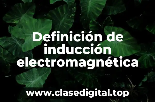 Definición de inducción electromagnética