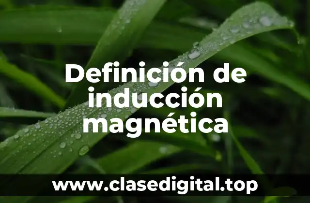 Definición de inducción magnética