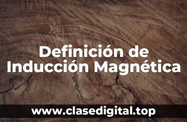 Definición Técnica de Inducción Magnética