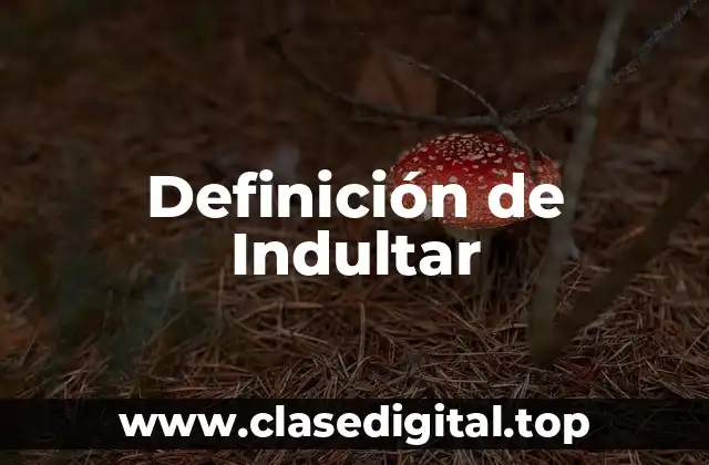 Definición de Indultar